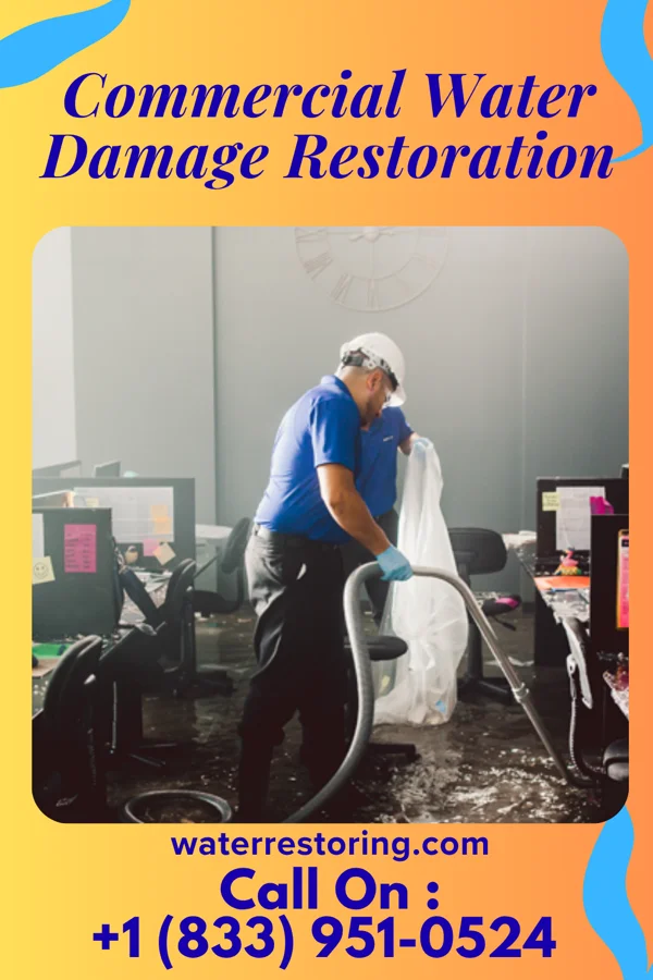 Commercial Water Damage Restoration in Marion, WI