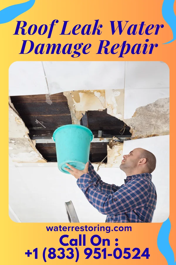 Roof Leak Water Damage Repair in Marion, WI
