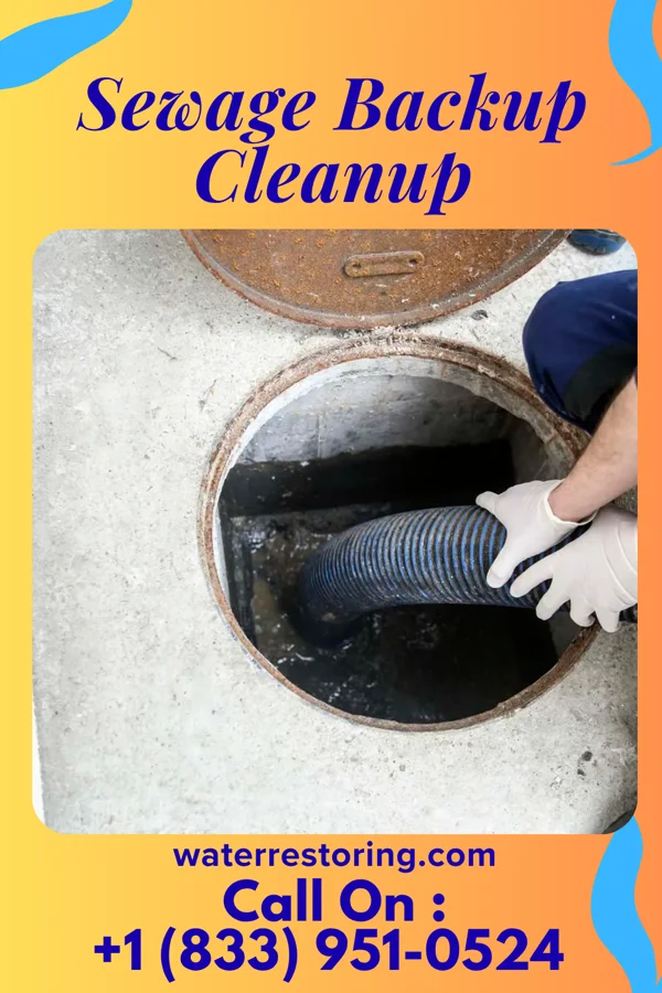 Sewage Backup Cleanup in Marion, WI